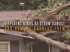 Different Kinds of Storm Damage and How We Address Them